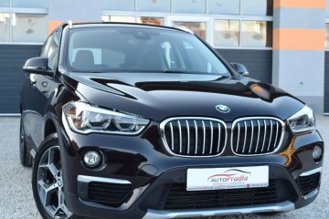 2.0 D 190ps xDrive "xLine" Ledy Edition Executive